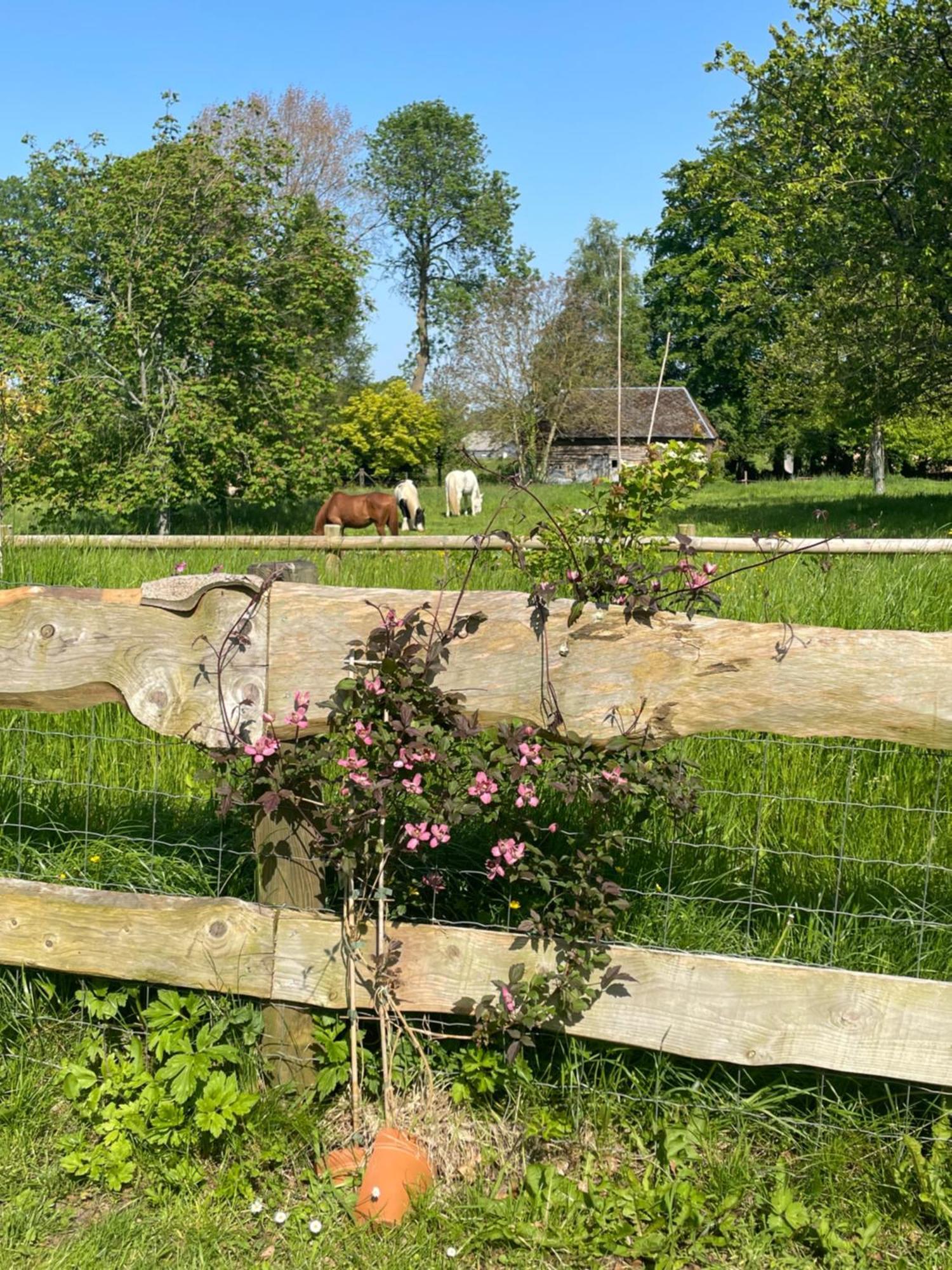 Le Clos Du Val A Loup Benarville ภายนอก รูปภาพ