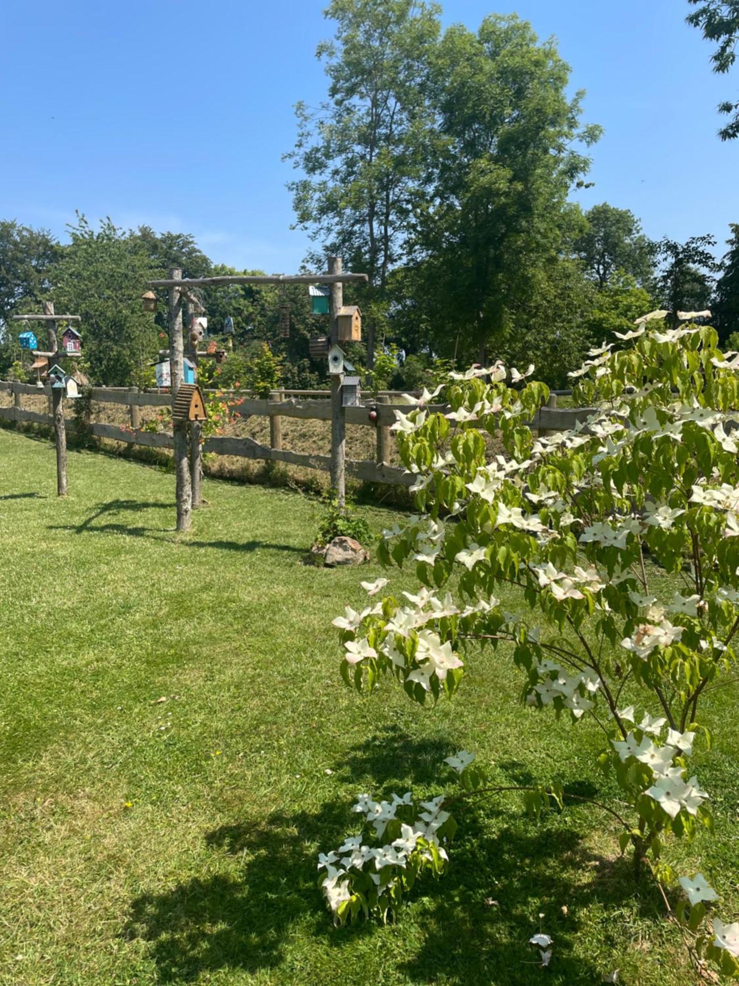 Le Clos Du Val A Loup Benarville ภายนอก รูปภาพ