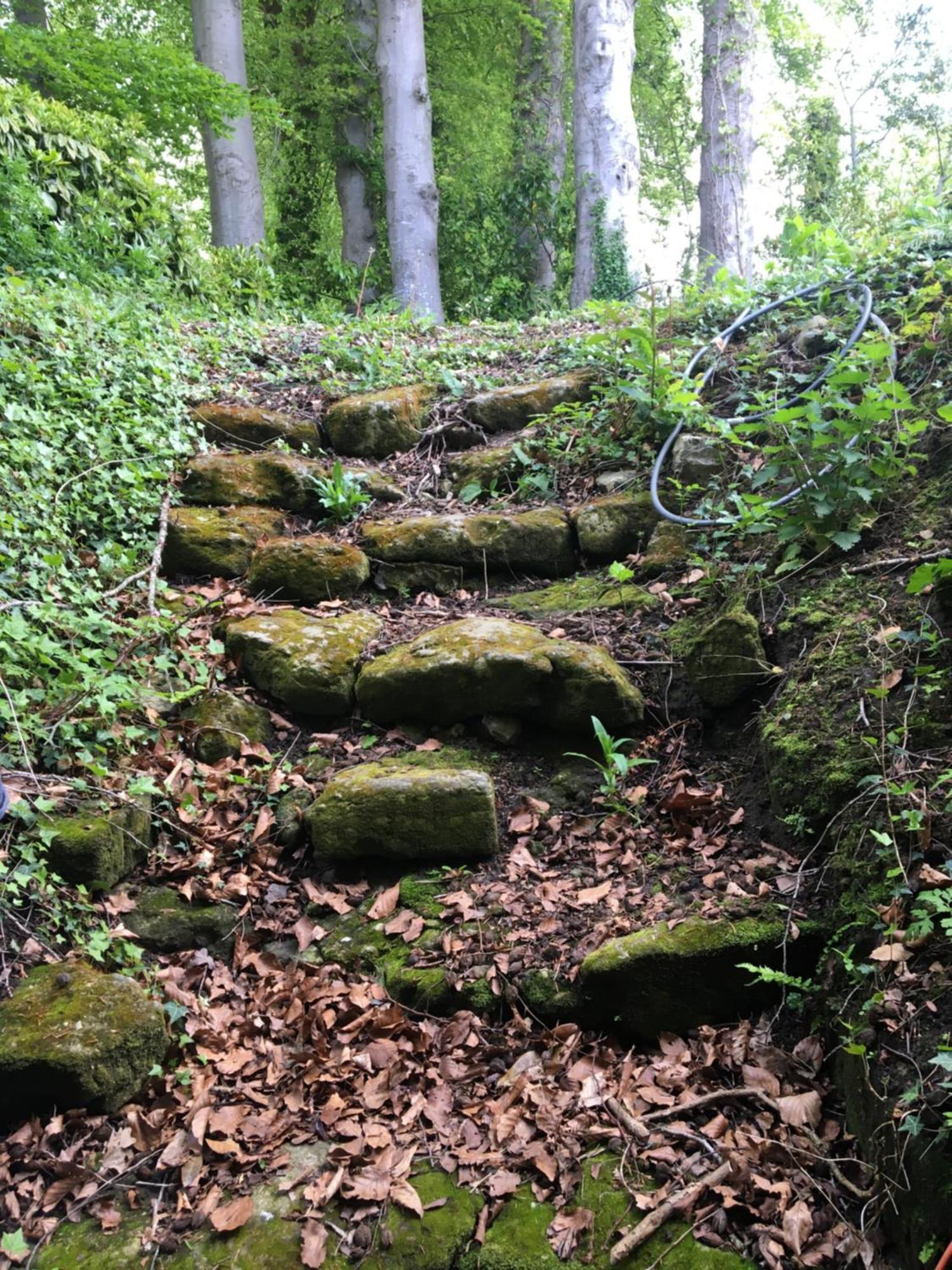 Le Clos Du Val A Loup Benarville ภายนอก รูปภาพ