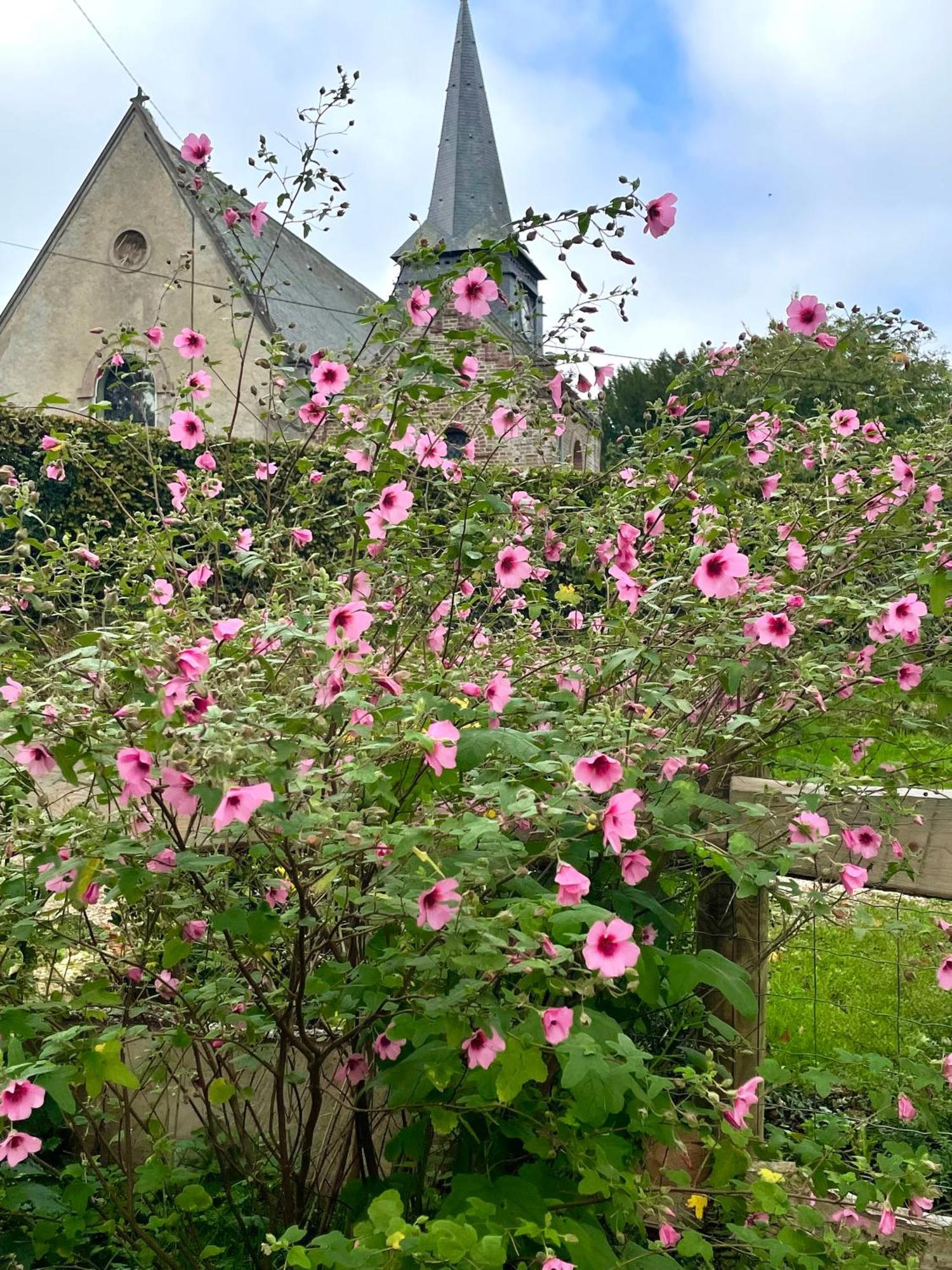 Le Clos Du Val A Loup Benarville ภายนอก รูปภาพ